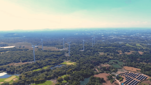 넓은 녹지에 있는 풍력 터빈