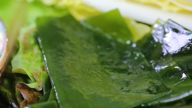 젓가락으로 미역 위에 신선한 전복을 올리는 모습