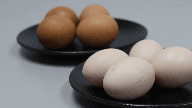 갈색과 흰색 달걀이 담긴 두 접시