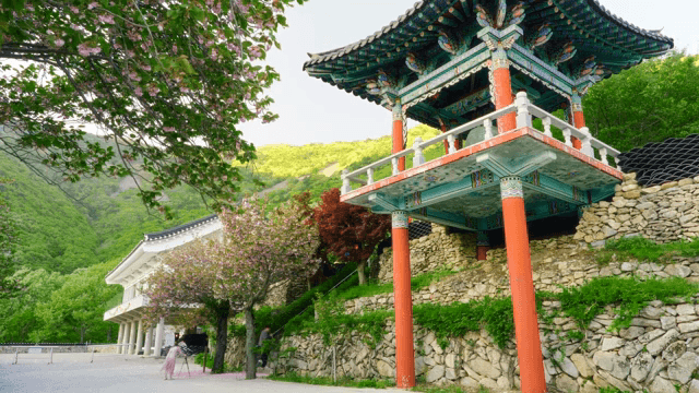 꽃이 만발한 전통 한국 정자