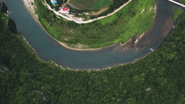 Winding river cutting through green forest.
