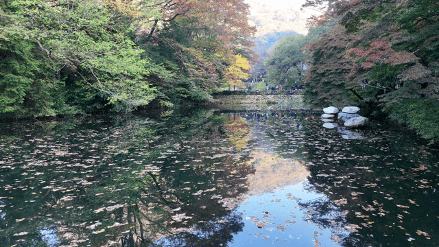Tranquil lake surrounded by autumn trees
