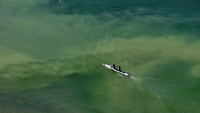 People kayaking on a calm river