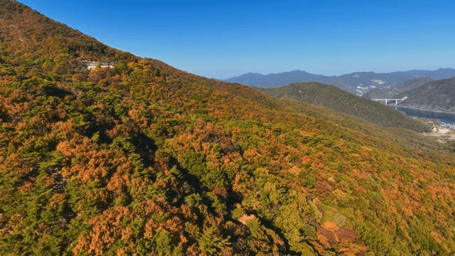 숲이 우거진 산맥의 항공 뷰