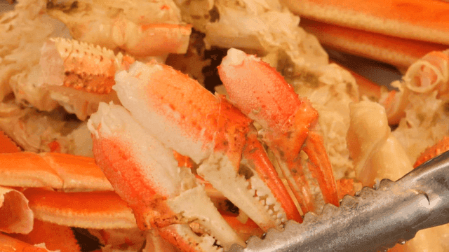 집게로 집은 신선한 게 집게