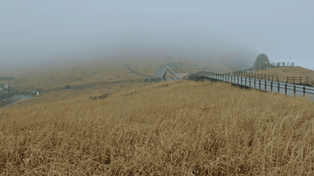 안개 낀 갈대와 등산길이 있는 풍경