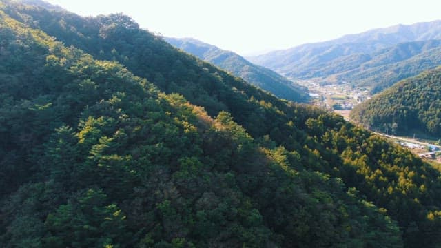 Lush valley with road and village