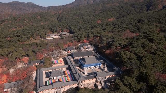 가을 단풍에 둘러싸인 전통 사찰의 항공 뷰