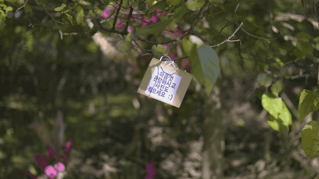 Note hanging on tree branch in forest