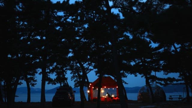 Illuminated tent in a dark forest at dusk