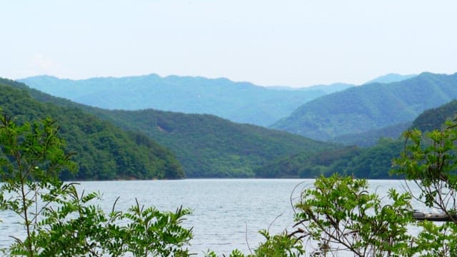 Serene mountain lake surrounded by lush greenery