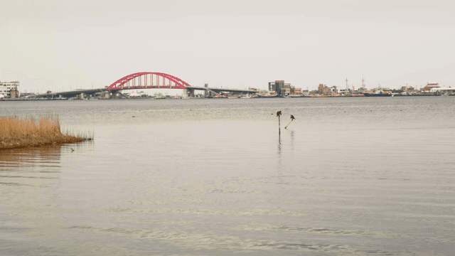 고요한 호수 위의 빨간 다리와 도시 풍경