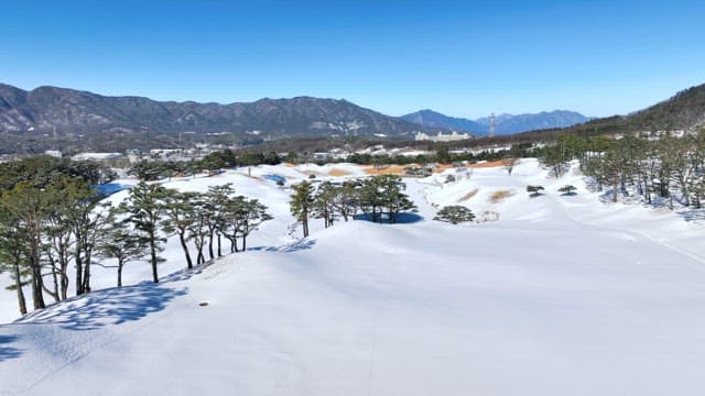 눈으로 덮인 산과 나무들의 풍경