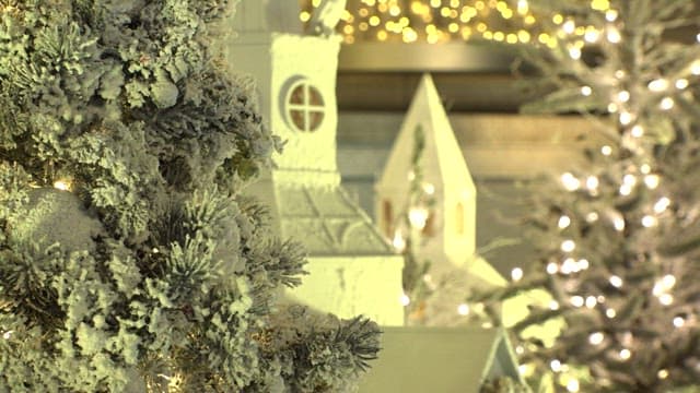 크리스마스 트리와 조명이 있는 집 장식