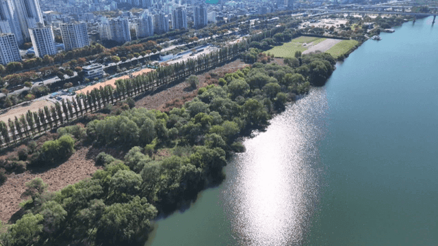 City skyline with a river and greenery