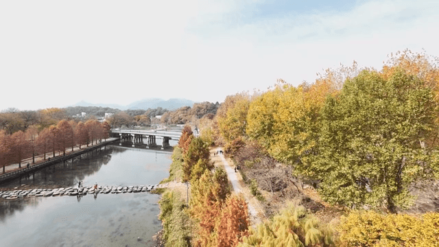 Scenic river lined with autumn trees