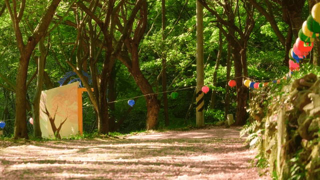 Forest path adorned with colorful lanterns
