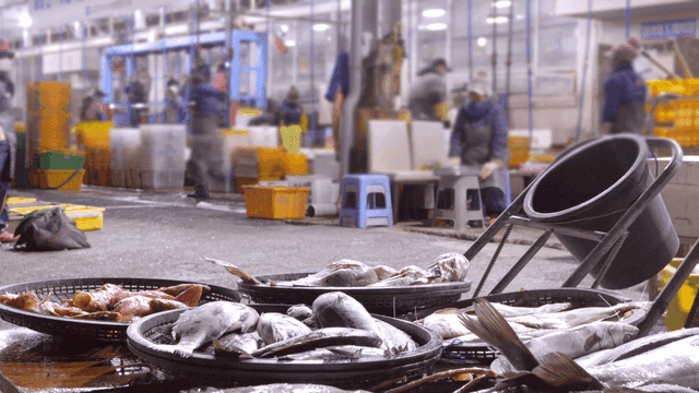 Fish market with fresh seafood and workers