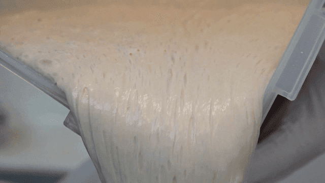 Pouring elastic dough into mixing bowl