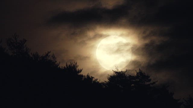 구름을 비추는 밤의 보름달