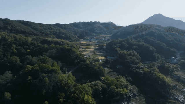 푸른 산과 계단식 논