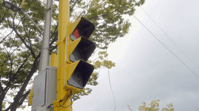 횡단보도의 신호등