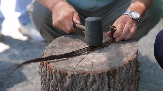 Preparing dried fish on a tree stump