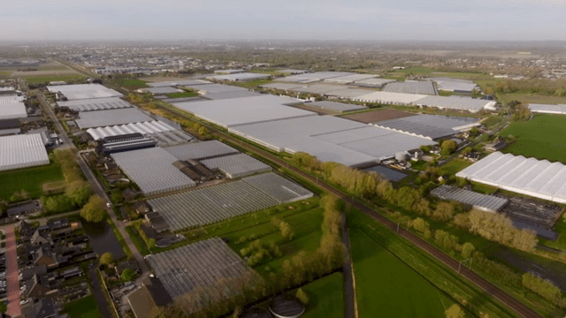 농촌 지역의 넓은 온실