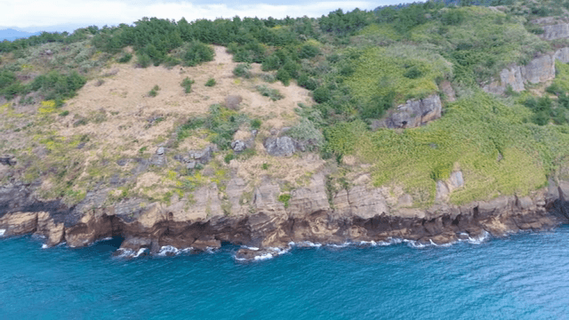 Rocky coastline with lush greenery