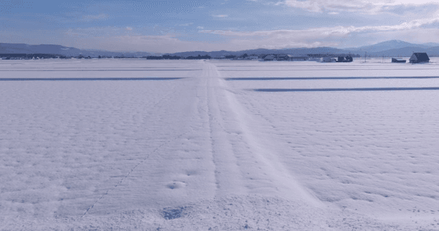맑은 하늘 아래 광활한 눈밭