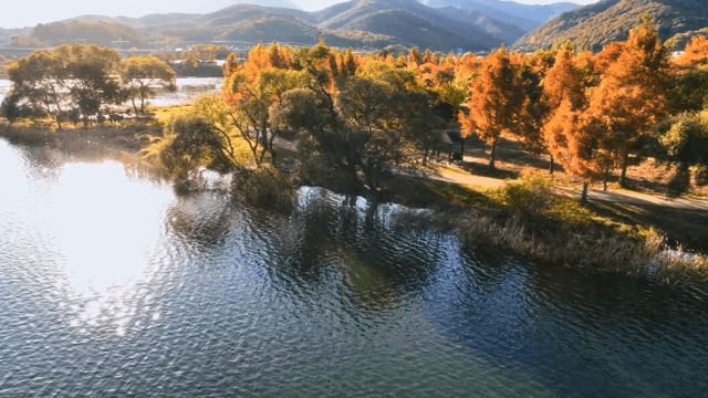 가을 나무와 함께 어우러진 고요한 호수