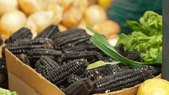신선한 검은 옥수수와 채소 전시