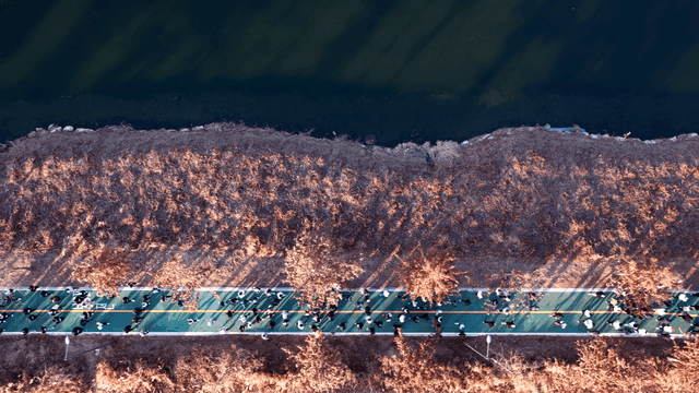 Many people running along riverside road