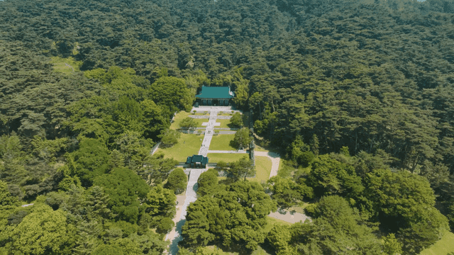 Traditional Hanok surrounded by lush forest