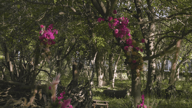 Forest decorated with colorful flowers