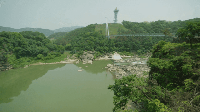 Scenic river surrounded by green forest