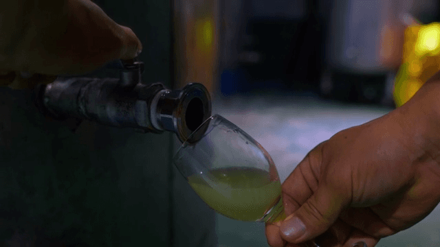 탱크에서 잔으로 와인 따르기