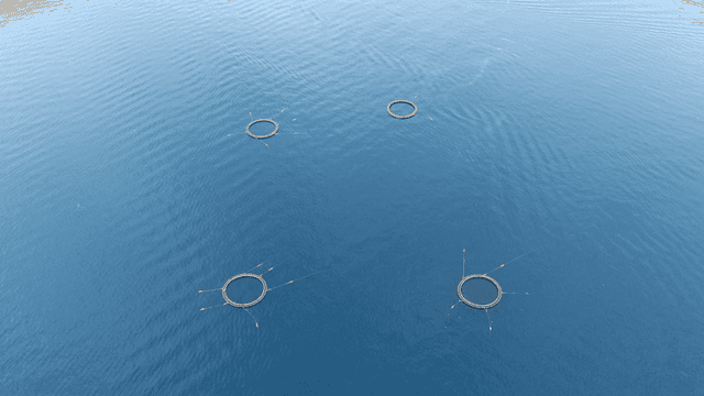 바다 위의 양식장