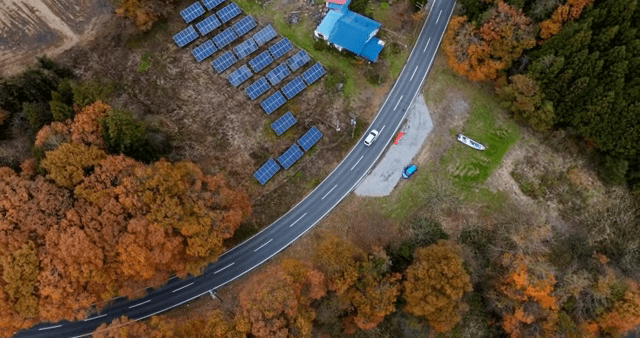 태양광 패널과 도로가 있는 가을 숲
