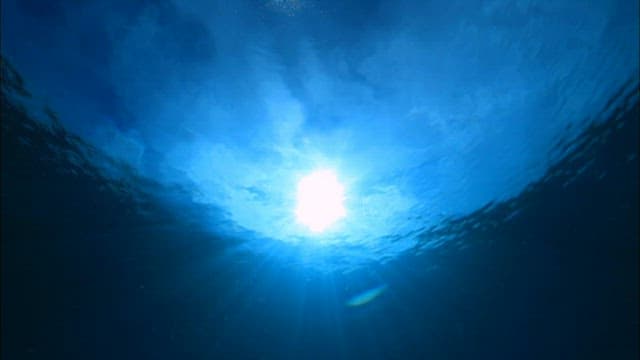 수중에서 바라보는 지나가는 작은 배들