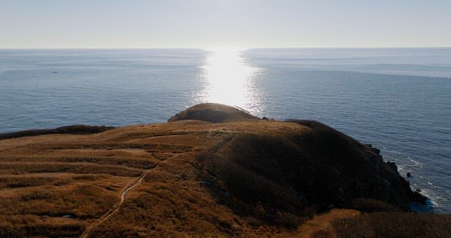 잔잔한 해안선과 물에 비치는 햇빛
