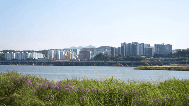 City skyline with river and greenery