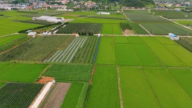 Expansive farmland with distant mountains