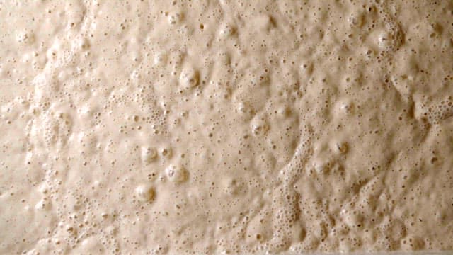 Bubbles rising on the surface of fermented dough