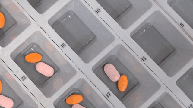 약 정리 트레이에 정리된 알약