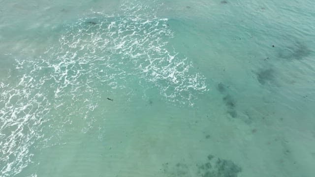 잔잔한 파도의 맑은 청록색 바다