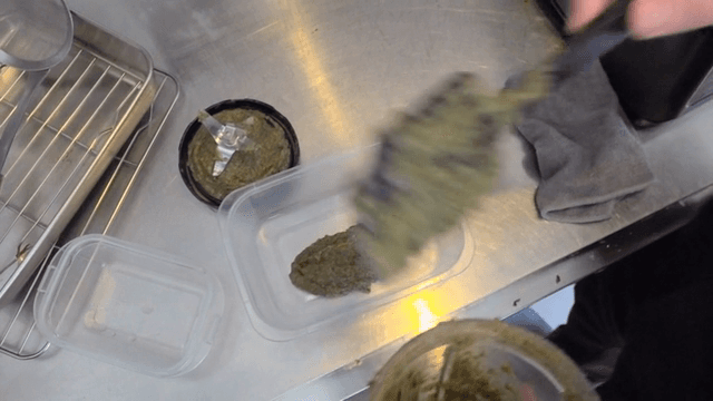 플라스틱 용기에 옮겨지는 다시마 퓌레