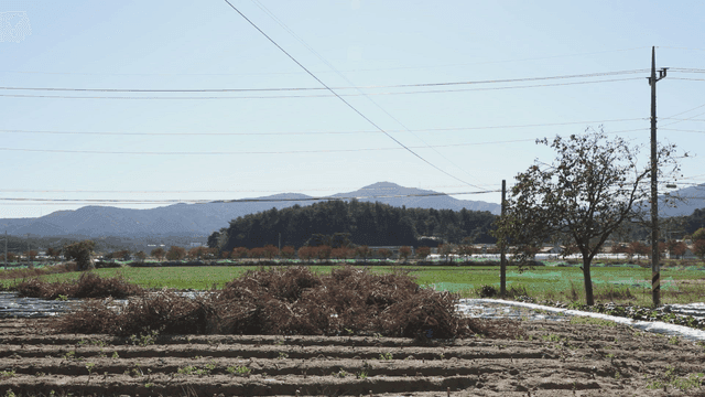 평화로운 농촌 풍경과 들판