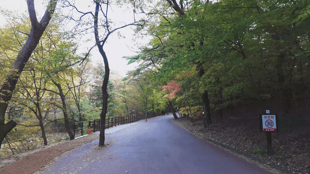 Quiet autumn forest path