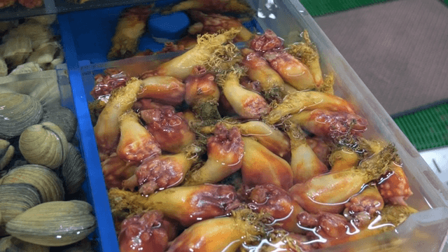 Fresh seafood displayed in a market tank